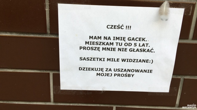 Fot. Anna Łukaszek [Radio Szczecin] Gacek dziś ma swoje święto! Niektórzy specjalnie przyjeżdżają do Szczecina, by go zobaczyć [ZDJĘCIA]