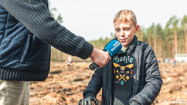 Fot. Jakub Niwa Dzieci zasadziły tysiące sosen. Ten las będzie rósł 100 lat [ZDJĘCIA, WIDEO]