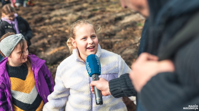 Fot. Jakub Niwa Dzieci zasadziły tysiące sosen. Ten las będzie rósł 100 lat [ZDJĘCIA, WIDEO]