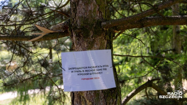 Fot. Robert Stachnik [Radio Szczecin] Ekstremalna sytuacja w lasach w Zachodniopomorskiem [WIDEO, ZDJĘCIA]