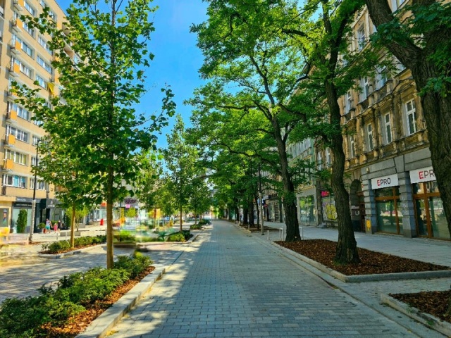 Fot. UM Szczecin Kiedy otwarcie alei Wojska Polskiego? Znamy datę [ZDJĘCIA]