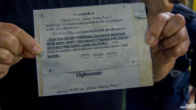 Fot. Wojciech Ochrymiuk [Radio Szczecin] Za pomoc dzikim kotom mogą stracić działkę [WIDEO, ZDJĘCIA]