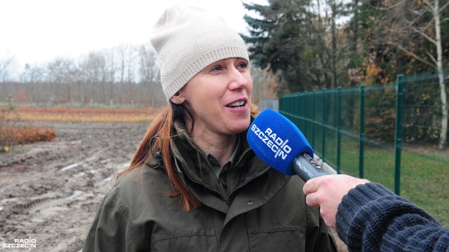 Fot. Marcin Kokolus [Radio Szczecin] Nadleśnictwo w Myśliborzu zaprasza na wycinanie choinek [ZDJĘCIA]