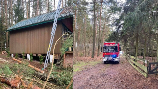 Policjanci pod prokuratorskim nadzorem wyjaśniają okoliczności i przyczyny tragicznego wypadku w pobliżu Jedzbarka w gminie Barczewo.