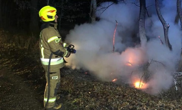 W nocy strażacy gasili pożar w miejscowości Rokicie w powiecie stargardzkim.