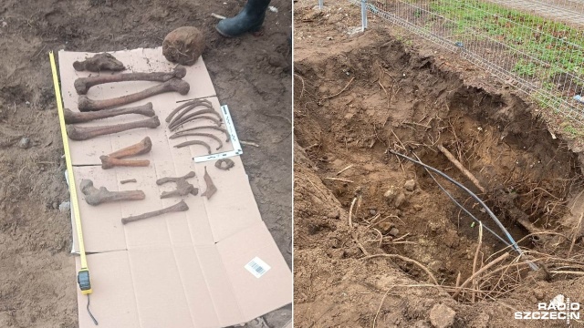 Ludzkie szczątki znaleziono w czasie prac przy przebudowie kołobrzeskiego targowiska. Ich pochodzeniem zajmie się teraz prokuratura.