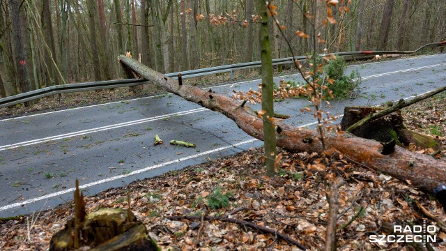 To była trudna noc dla strażaków z regionu. Doszło do kilkudziesięciu interwencji.