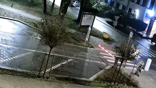 Policja poszukuje mężczyzny, który pozostawił niewybuch przy bocznych drzwiach Urzędu Miasta i Gminy w Gryfinie.