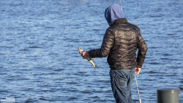 Szczecińska policja zatrzymała kłusownika - mężczyzna łowił ryby w Kanale Cegielinka.