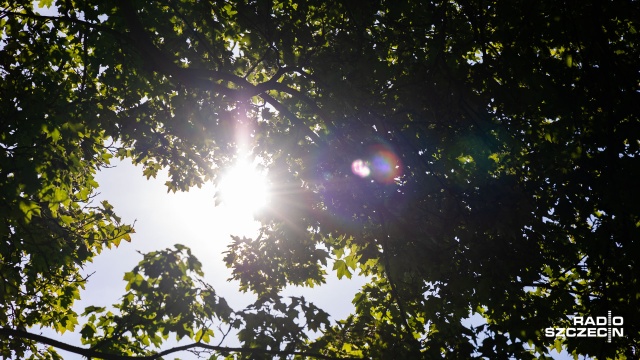 Pogoda w długi weekend będzie zmienna. Instytut Meteorologii i Gospodarki Wodnej zapowiada, że będą dni chłodniejsze, z opadami deszczu, ale i - cieplejsze, z temperaturą do 20 stopni.