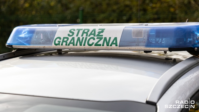 Straż Graniczna zatrzymuje coraz więcej tzw. kurierów, czyli osób, które przyjeżdżają pod polsko-białoruską granicę i próbują przewieźć migrantów nielegalnie ją przekraczających.