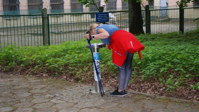 Biegacze w lesie Arkońskim już nie muszą zabierać własnej wody. Stanęło tam poidełko.