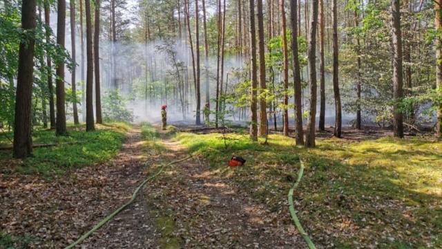 Ekstremalne zagrożenie pożarowe w lasach regionu