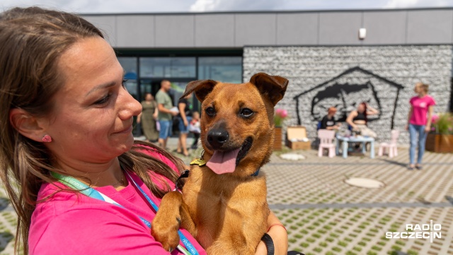 Czekają na nowy dom pełen miłości. Dziś dzień otwarty nowego schroniska przy ulicy Zwierzęcy Zakątek 1.