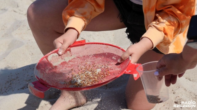 Przez cały weekend w Kołobrzegu króluje bursztyn. Na miejscowej plaży nie brakuje konkursów, warsztatów i pokazów związanych ze Złotem Bałtyku.