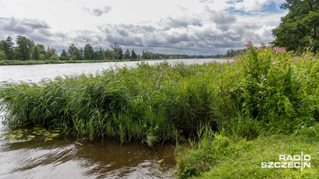 Chcą dostępu do lasu i Odry - mieszkańcy Kamieńca, w gminie Kołbaskowo piszą w tej sprawie do wójt Małgorzaty Szwarc.