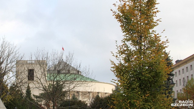 PSL i Polska 2050 pójdą do wyborów jako Koalicyjny Komitet Wyborczy Trzecia Droga. W sobotę - osobno - obradowały w tej sprawie władze obu partii.