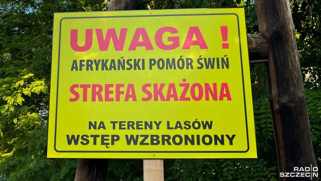 Opryski wzdłuż linii kolejowej między Szczecinem a Rokitą, uszczelnianie tras przy drodze S3 i odstrzały sanitarne dzików.