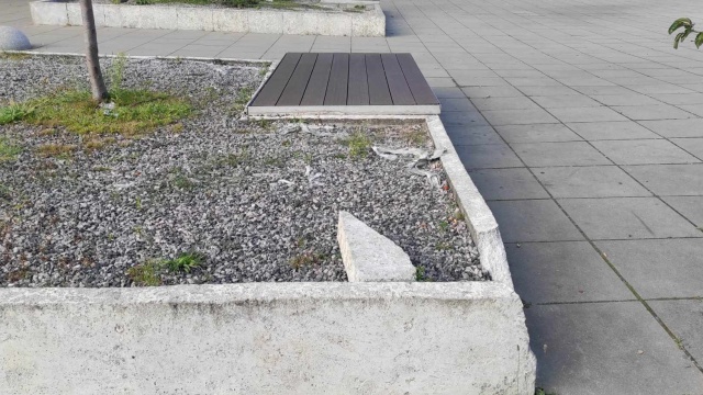 Połamane płyty chodnikowe, zaniedbana zieleń, dziurawe ogrodzenie - tak wygląda plac Solidarności w Szczecinie. Na bałagan w tej reprezentacyjnej części miasta zwróciła uwagę radna PiS Agnieszka Kurzawa.