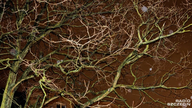 Instytut Meteorologii i Gospodarki Wodnej wydał ostrzeżenia pierwszego i drugiego stopnia przed silnym wiatrem dla przeważającego obszaru kraju. Miejscami prędkość porywów wiatru może zbliżać się do 100 kilometrów na godzinę.