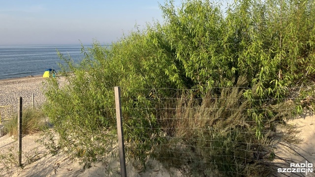 Mężczyzna stracił rękę na plaży w Dziwnowie.