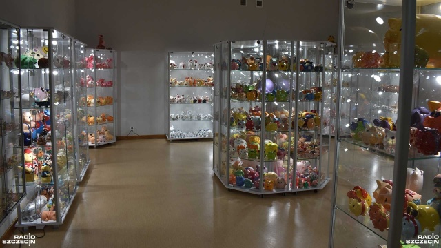 Pluszowe, drewniane, porcelanowe czy wyszywane - prawie 2 tysiące kolorowych eksponatów do zobaczenia w pierwszej w Polsce Izbie Muzealnej Świnek, która mieści się w Miejskiej Bibliotece Publicznej w Stepnicy.