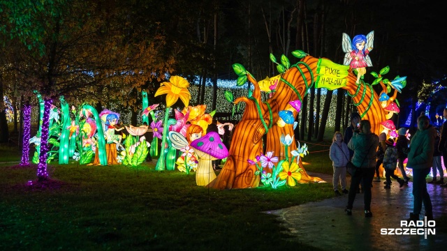 Powrót do dzieciństwa - szczecińska Arkonka zmieniła się w bajkową krainę, a dokładnie: w oświetlony ogród. To w ramach wystawy Garden of Lights inspirowanej bajkowym światem Piotrusia Pana.
