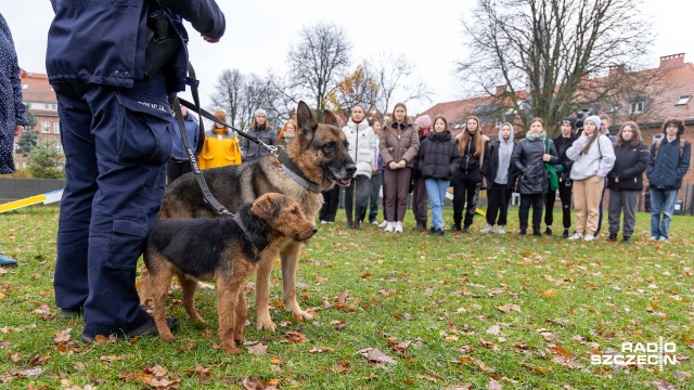Nauka o psach to nasza pasja - mówią studenci szczecińskiego ZUT-u studiujący na kierunku kynologii, czyli nauki o psach.