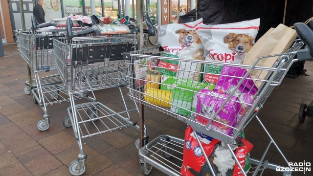 Zbiórkę dla zwierząt ze schroniska w Kiczarowie prowadzi dziś przed marketem Kaufland przy ul. Kościuszki w Stargardzie Klub Motoryzacyjny.