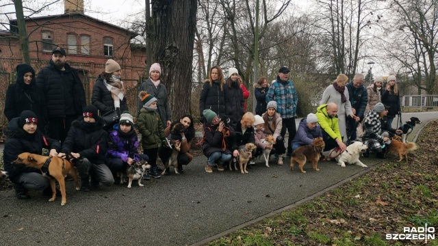 Sukcesem organizatorów zakończyła się pierwsza w Stargardzie Parada Adopciaków dla podopiecznych Schroniska w Kiczarowie.