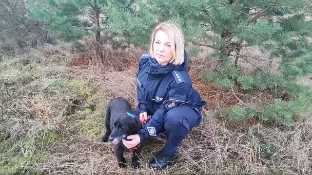 Nie strzelajmy w Sylwestra - do apelu przyłącza się wałecka policja.