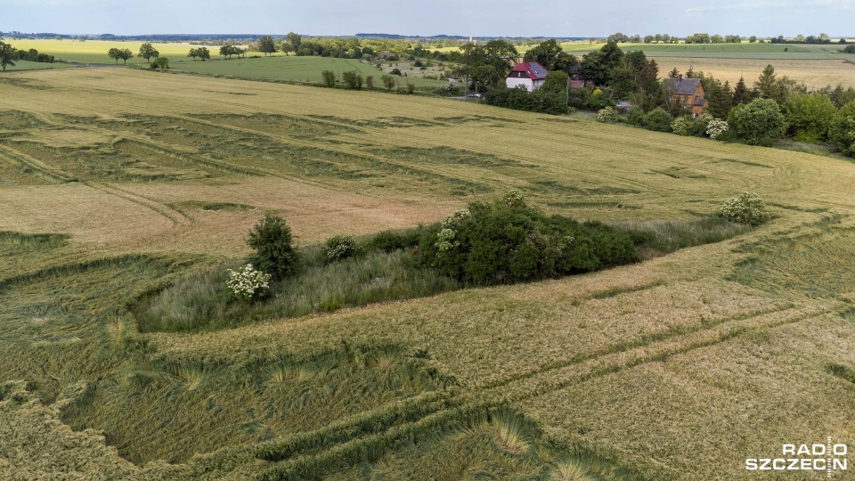 Fot. Robert Stachnik [Radio Szczecin]