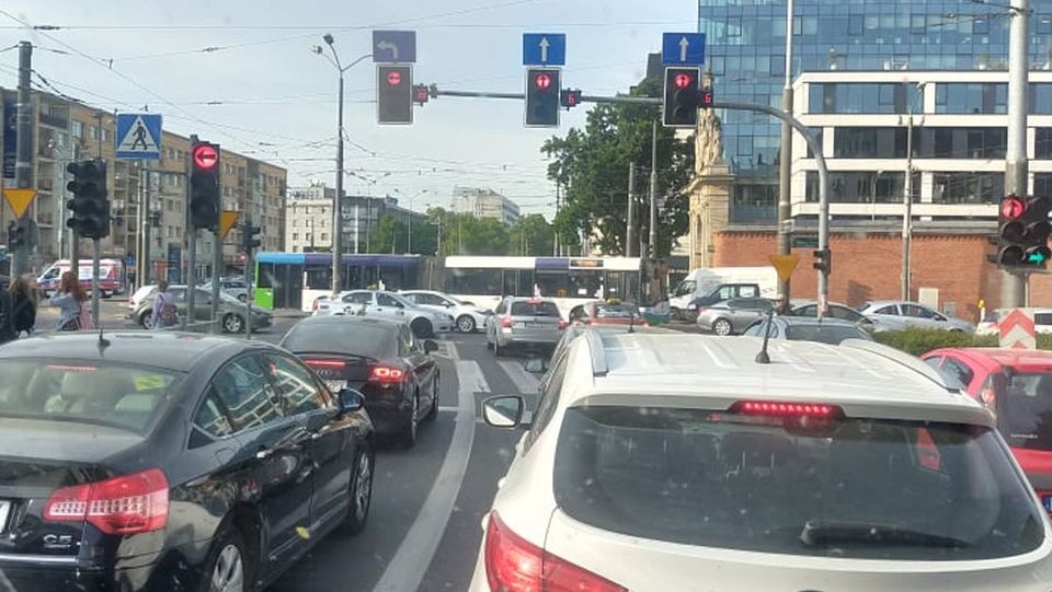 Fot. Tomasz Moczulski