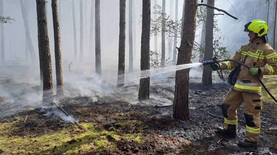 źródło: https://www.facebook.com/OSPLubczyna
