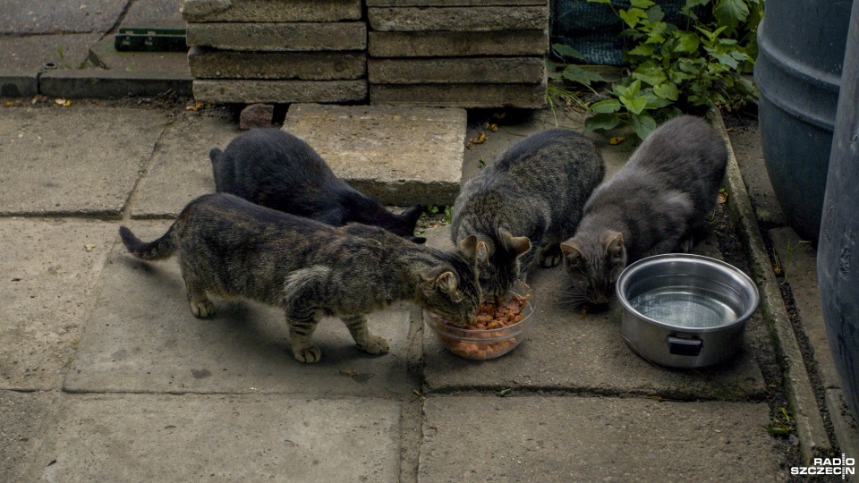 Fot. Wojciech Ochrymiuk [Radio Szczecin]