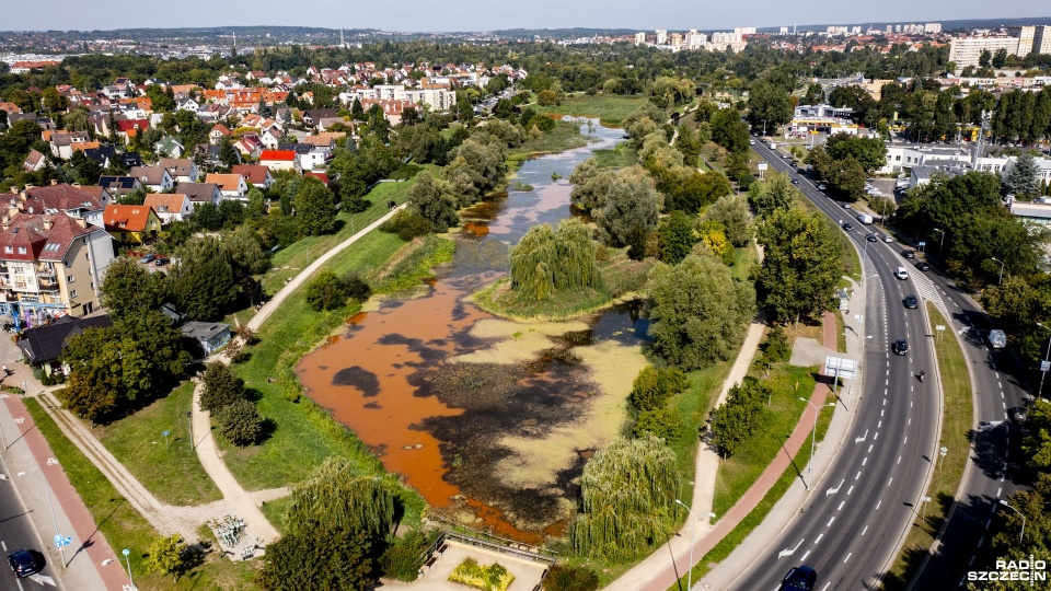 Fot. Wojciech Ochrymiuk [Radio Szczecin]