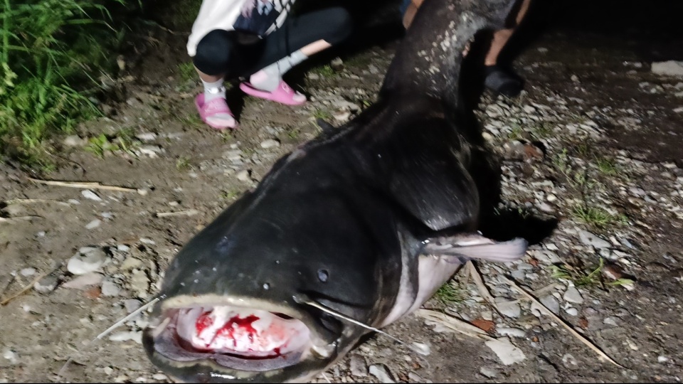 Fot. Tomasza Kościelny