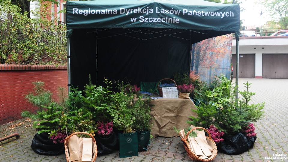 Fot. Marcin Kokolus [Radio Szczecin]