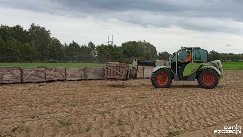 Fot. Joanna Maraszek [Radio Szczecin]