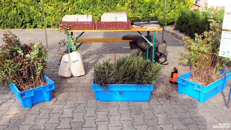 Fot. Marcin Kokolus [Radio Szczecin]