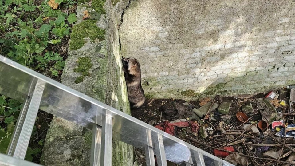 źródło: Ochotnicza Straż Pożarna w Charzynie