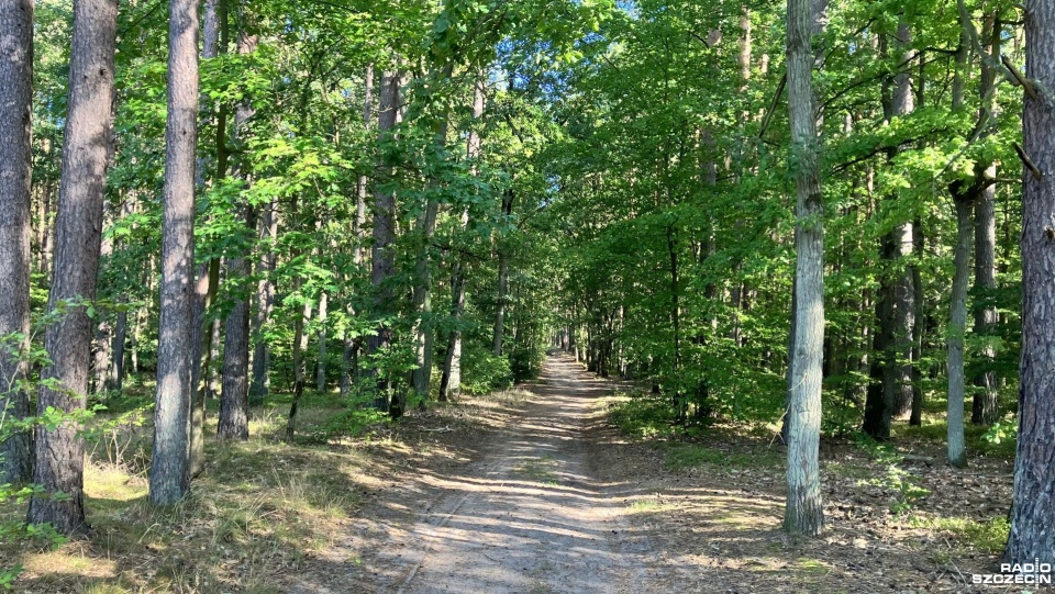 Fot. Michał Król [Radio Szczecin]