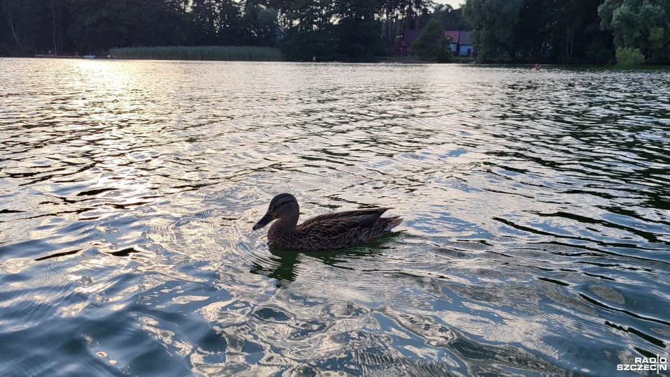 Fot. Sławomir Orlik [Radio Szczecin]