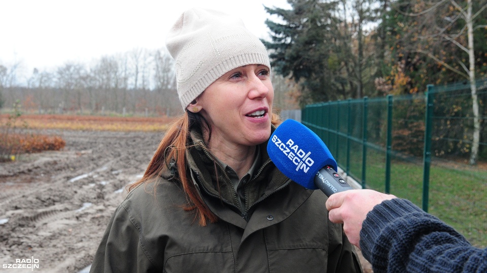 Dominika Lewandowska-Biel, rzecznik nadleśnictwa Myślibórz. Fot. Marcin Kokolus [Radio Szczecin]