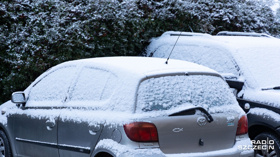 Fot. Robert Stachnik [Radio Szczecin]