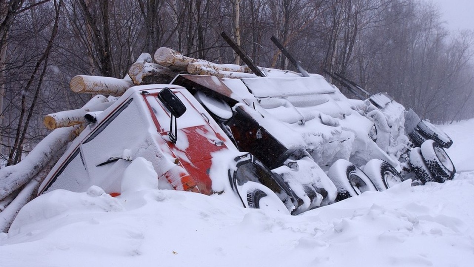 źródło: https://pixabay.com/pl/2582430/Natalia_Kollegova/CC0 - domena publiczna