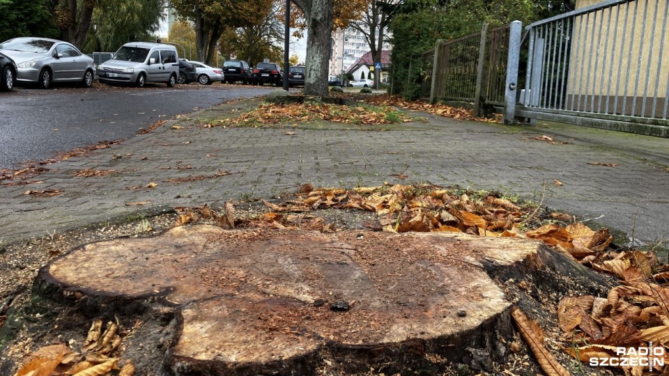 Fot. Joanna Maraszek [Radio Szczecin]