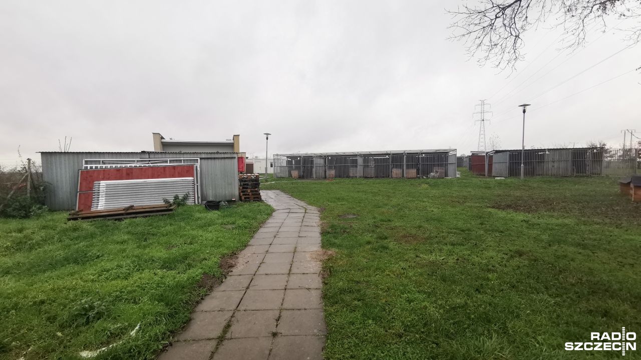 Paczki z TikToka trafią do schroniska dla zwierząt w Kiczarowie. Grupa mieszkańców Stargardu zorganizowała internetową zbiórkę.