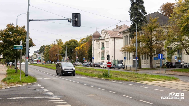 Fot. Robert Stachnik [Radio Szczecin] Nowe drzewa pojawią się w Szczecinie [WIDEO, ZDJĘCIA]