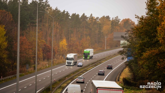 Fot. Robert Stachnik [Radio Szczecin] Wycinka przy autostradzie A6 [ZDJĘCIA]